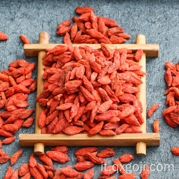 Bacche di goji rosso bio di prima scelta per la salute